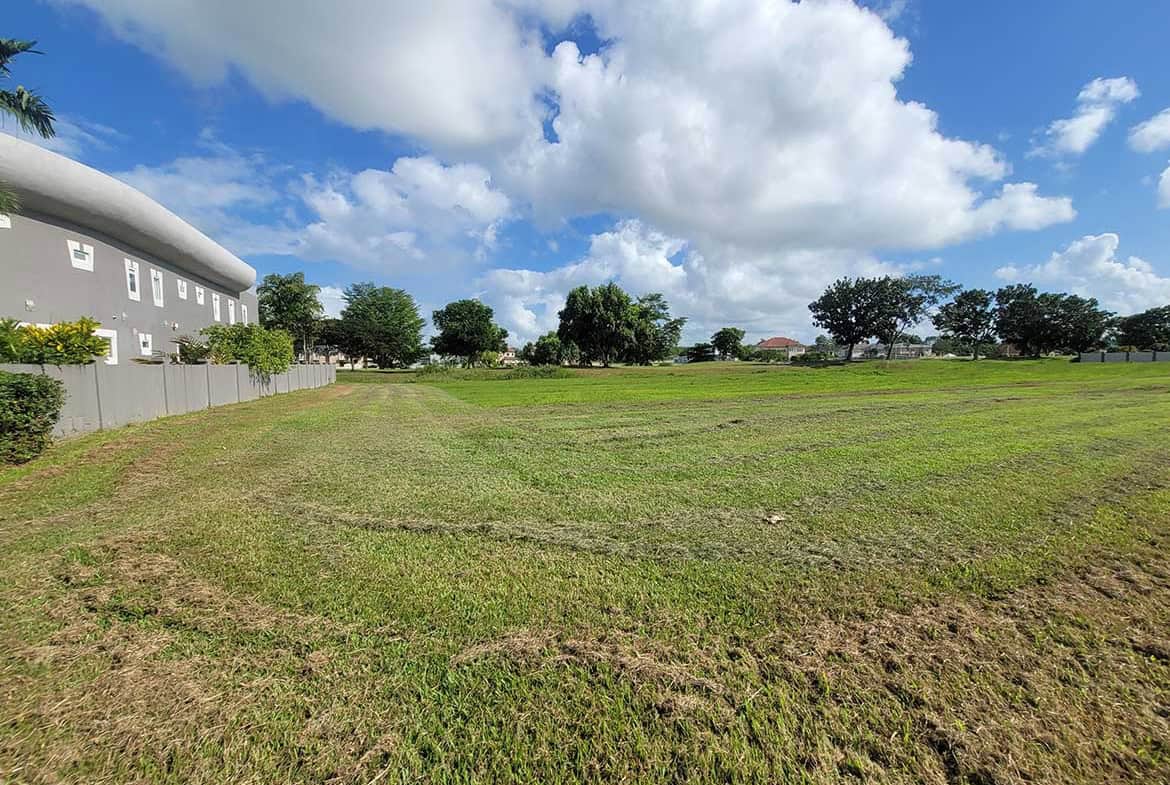 Cornerstone- Open grassy lot with trees and residential buildings in the background.