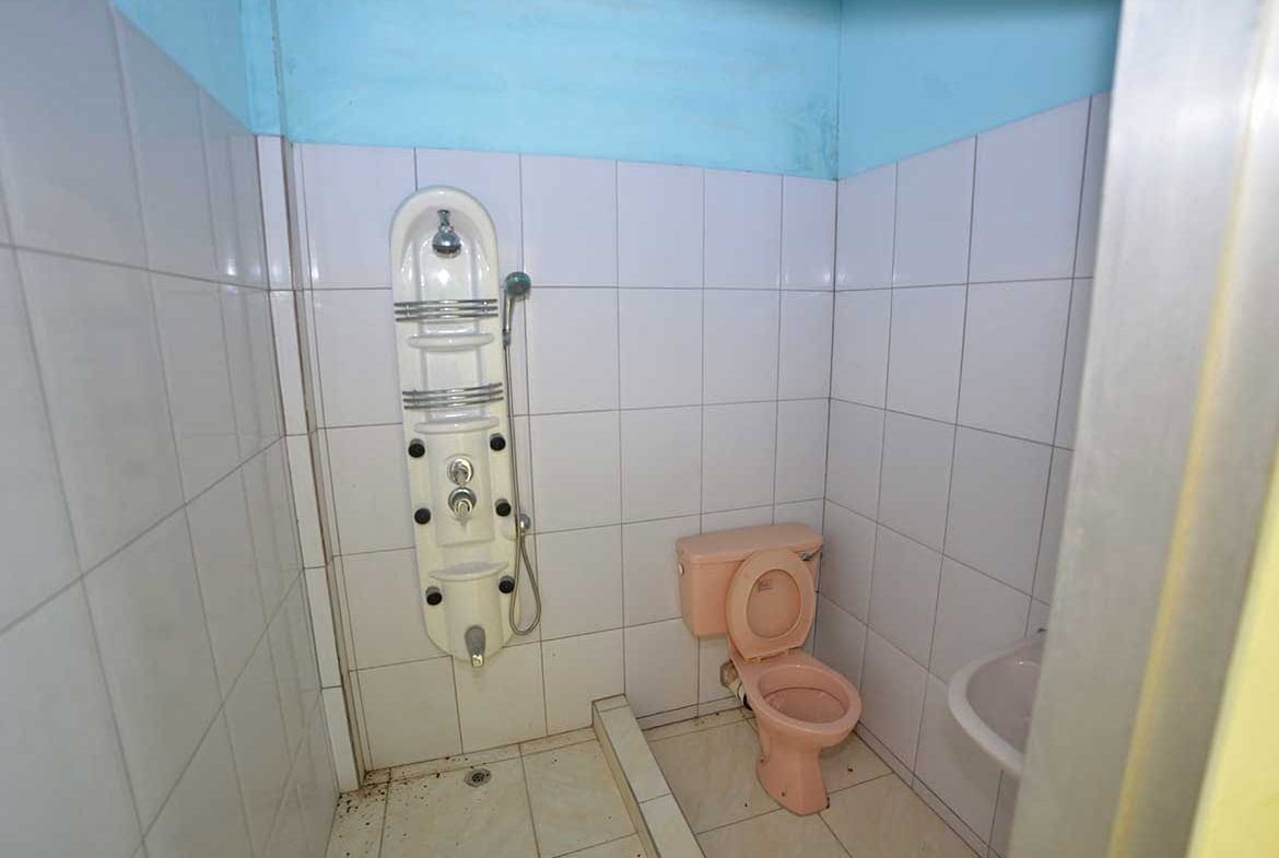 Cornerstone- Public restroom with pink toilet and shower area at Bonne Aventure Road.