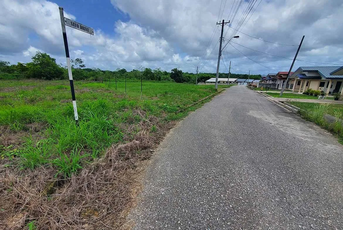 Cornerstone- Empty street in Jai Court, Brazil with houses and power lines.