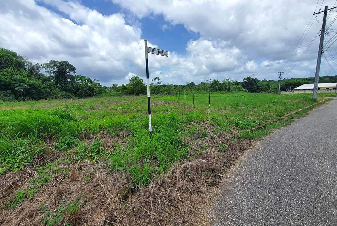 Cornerstone- Open land plot in Jai Court, Brazil with green grass and cloudy sky.