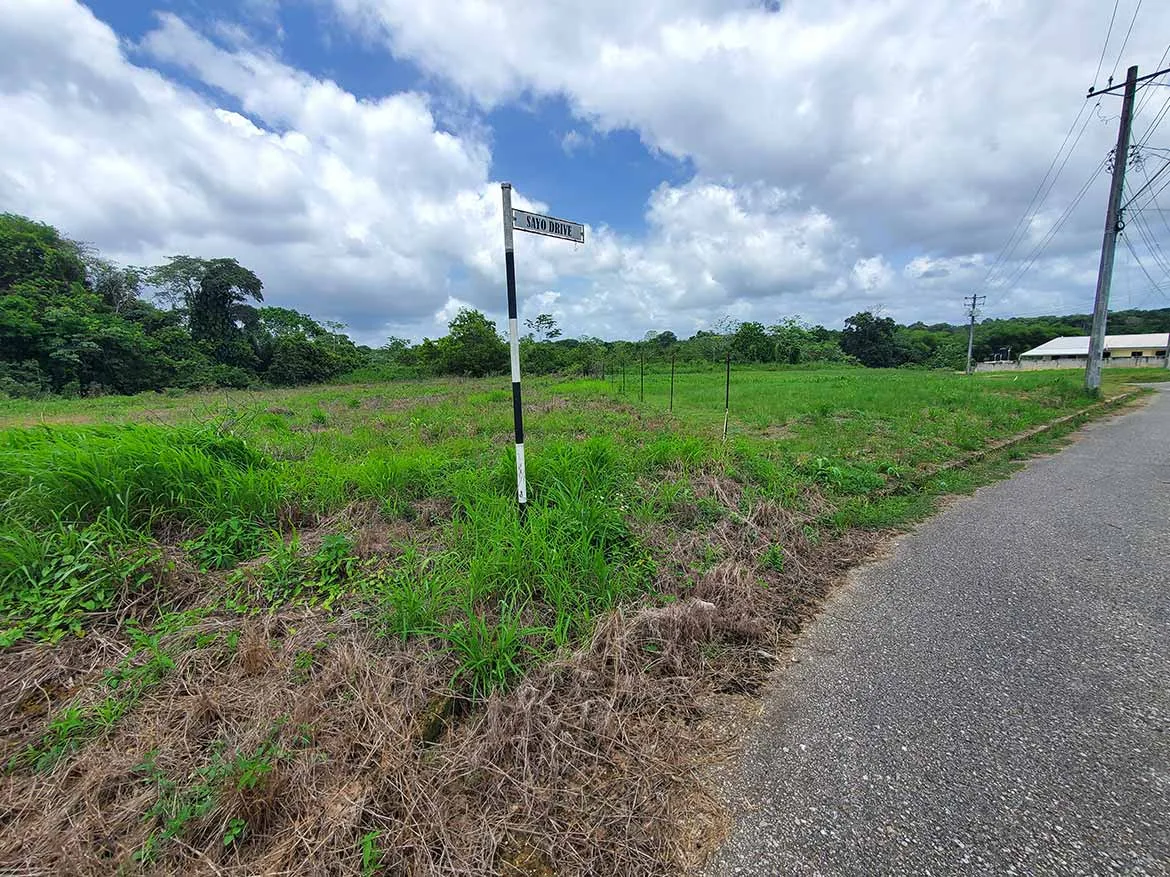 Jai Court, Brazil – Open Land Plot Cornerstone- Open land plot in Jai Court, Brazil with green grass and cloudy sky.