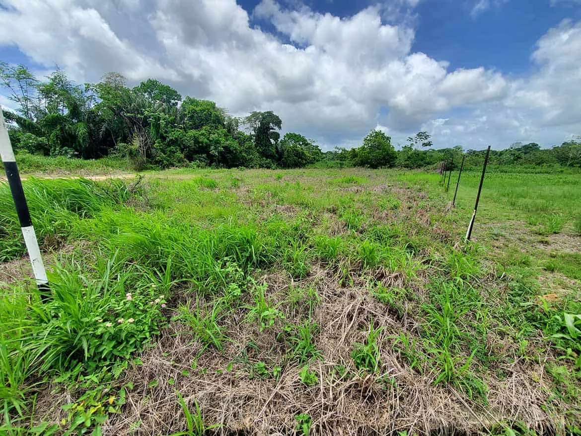 Jai Court, Brazil – Green Landscape Cornerstone- Lush green landscape in Jai Court, Brazil with trees and open sky.