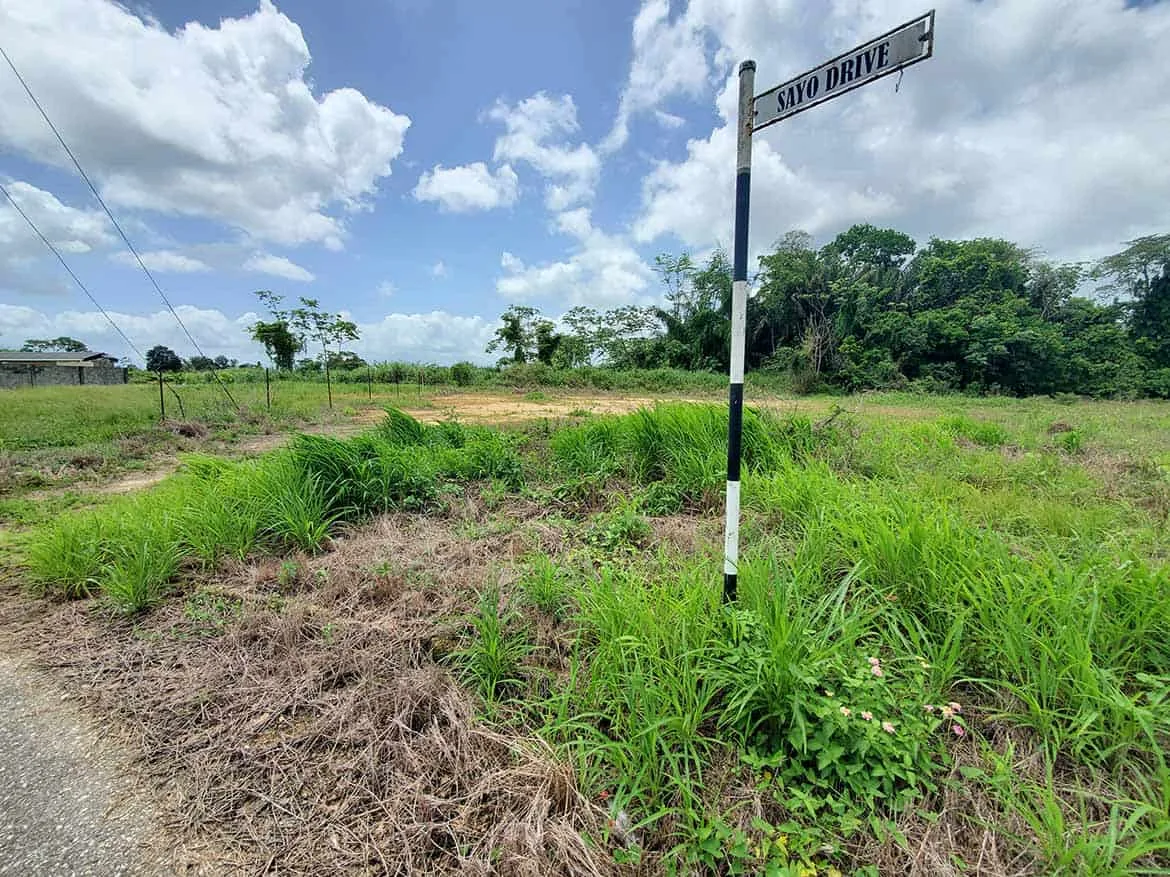 Cornerstone™ – Jai Court, Brazil Cornerstone- Street sign at Jai Court in Brazil with lush greenery and blue sky.
