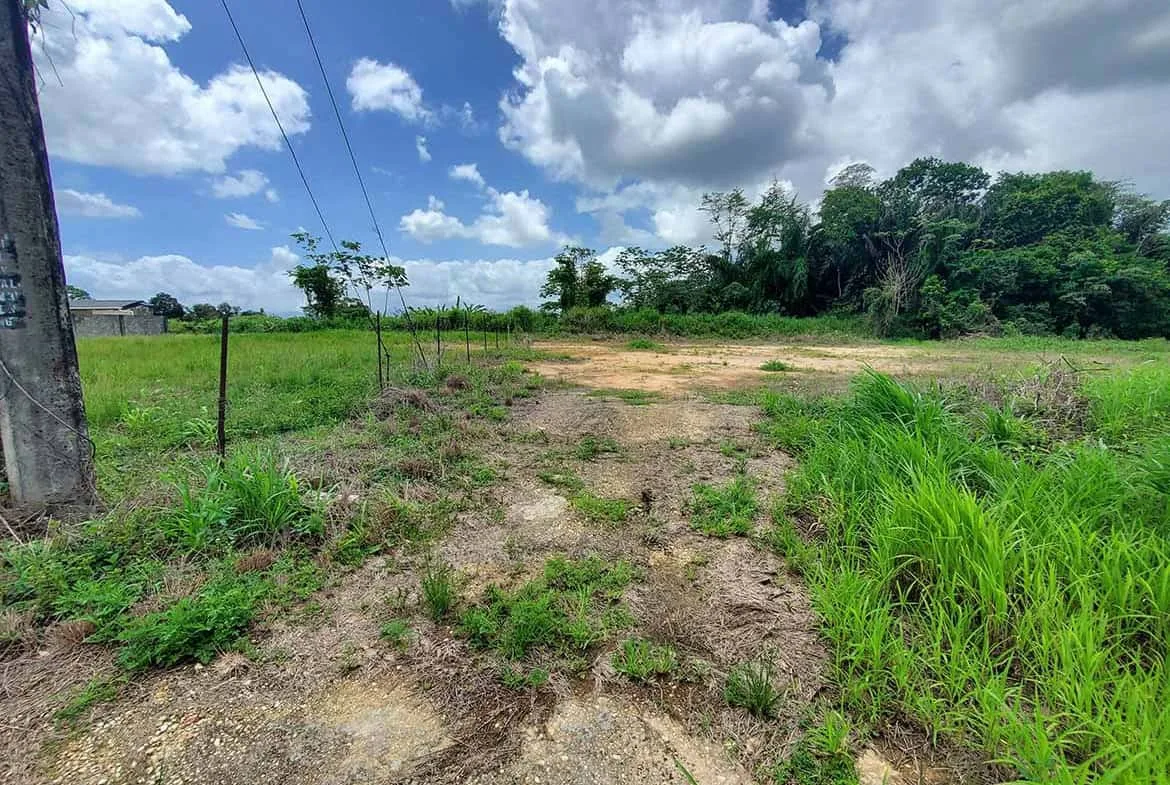 Cornerstone- Open land in Jai Court, Brazil with greenery and blue sky.