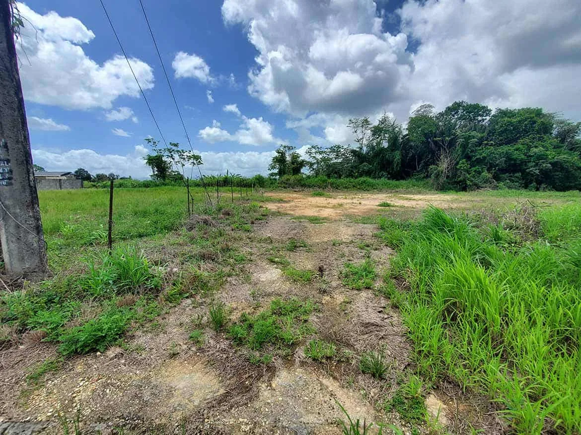 Jai Court, Brazil – Cornerstone™ Property Cornerstone- Open land in Jai Court, Brazil with greenery and blue sky.