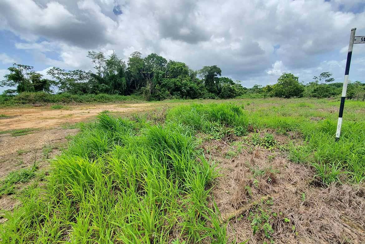 Cornerstone- Lush green grass and trees under cloudy sky at Jai Court, Brazil.