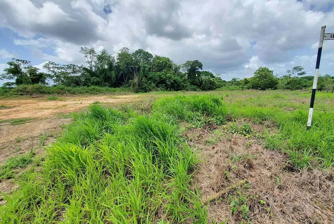 Cornerstone- Lush green grass and trees under cloudy sky at Jai Court, Brazil.
