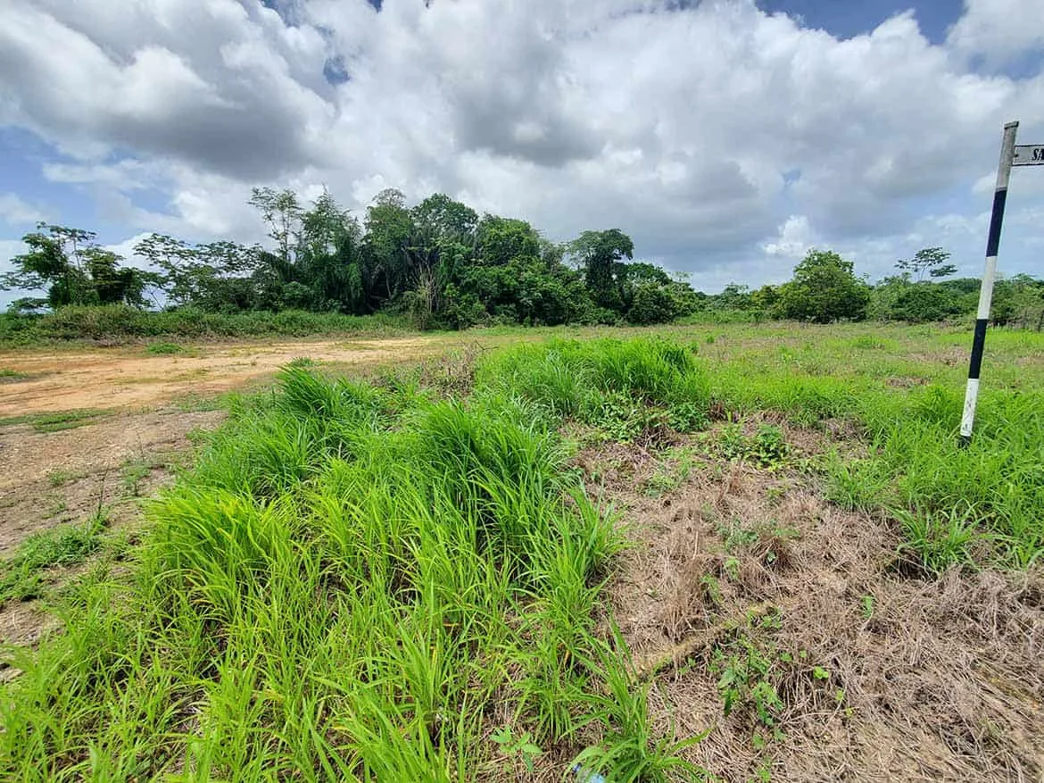 Jai Court, Brazil – Green Landscape Cornerstone- Lush green grass and trees under cloudy sky at Jai Court, Brazil.