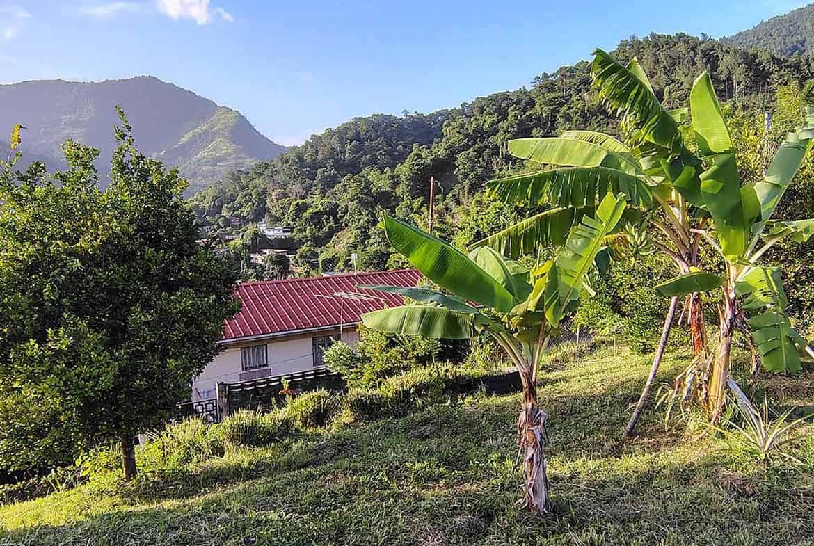 Cornerstone- Scenic hilltop land with banana trees and lush green mountains in the background.