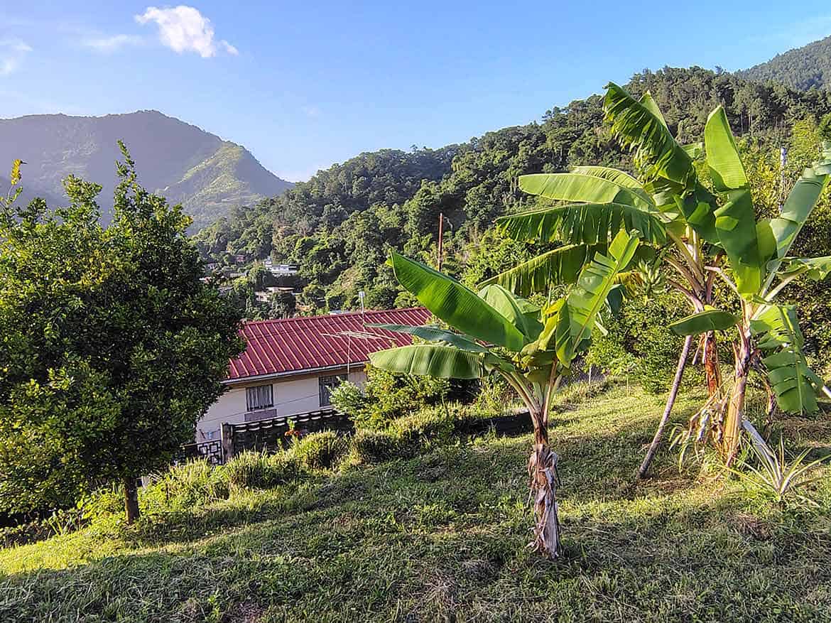 Hilltop Land with Banana Trees Cornerstone- Scenic hilltop land with banana trees and lush green mountains in the background.