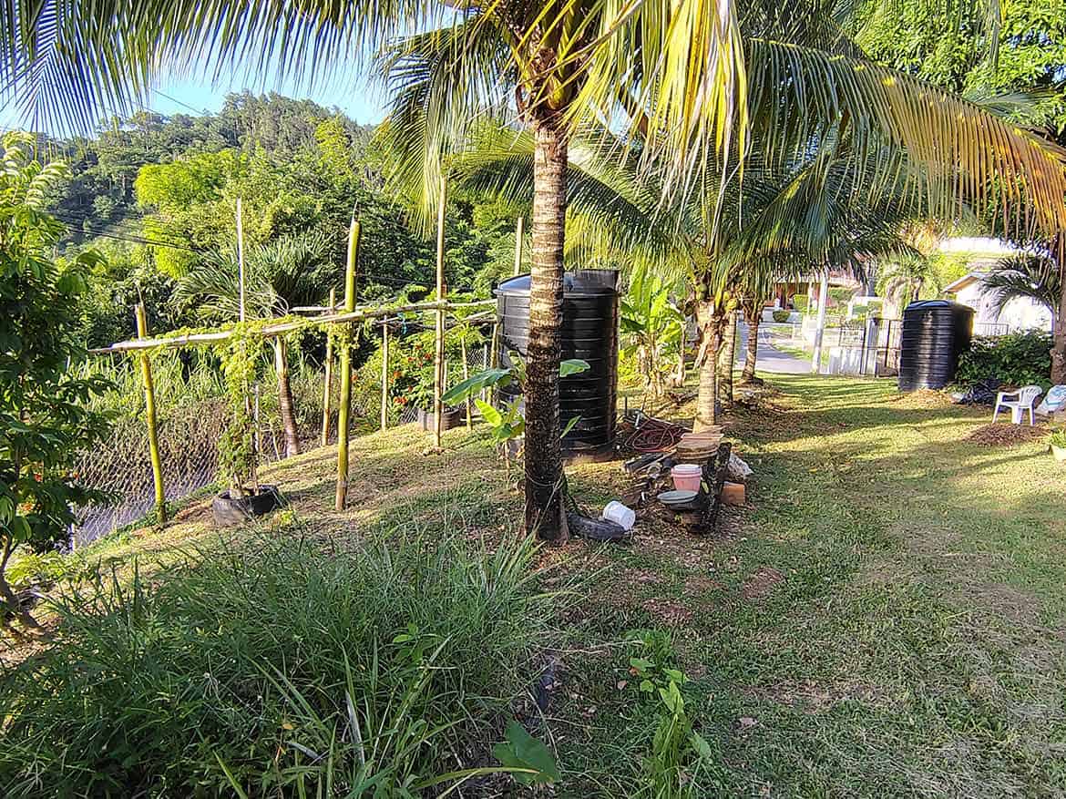 Lush Garden at Hilltop Land, St Augustine Cornerstone- Tropical garden with palm trees, water tanks, and lush greenery in St Augustine.