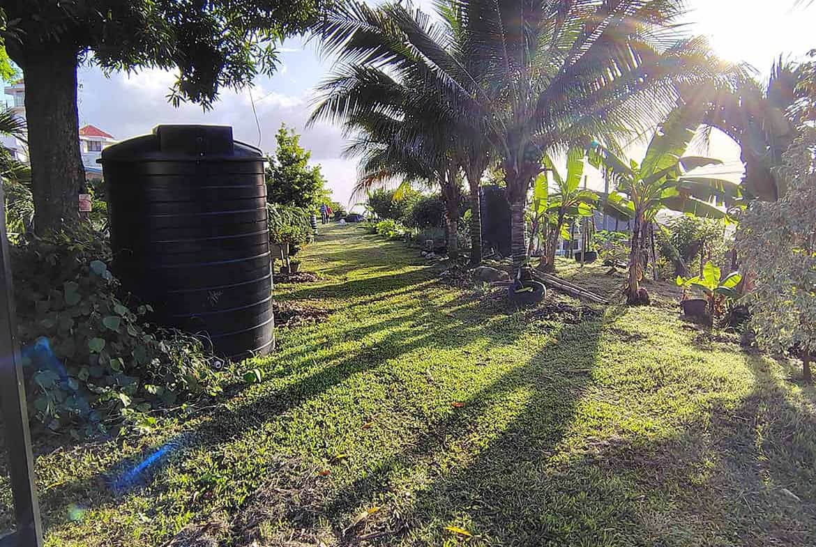 Cornerstone- Tropical garden with palm trees and water tank at Hilltop Land, St Augustine.