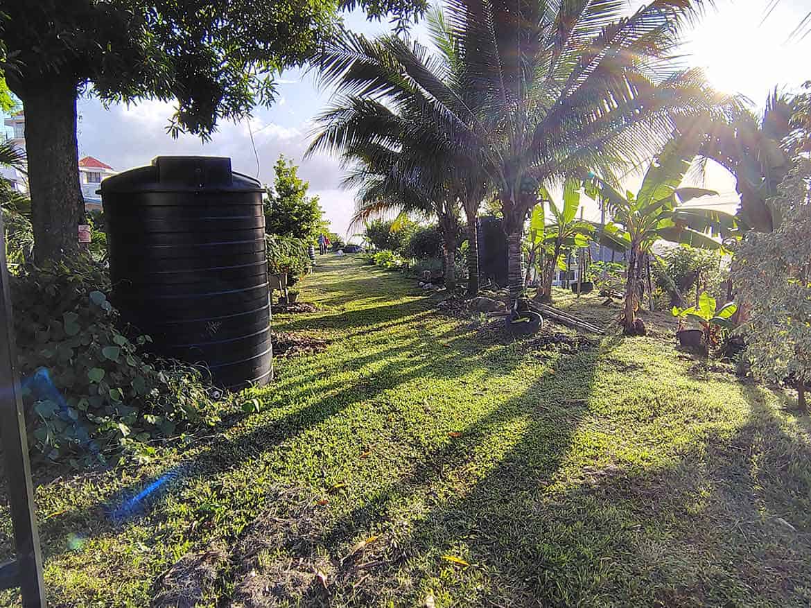 Lush Garden at Hilltop Land Cornerstone- Tropical garden with palm trees and water tank at Hilltop Land, St Augustine.