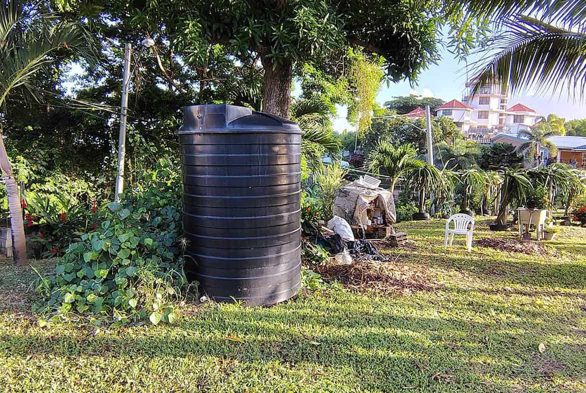 Cornerstone- Lush garden with water storage tank and tropical trees in St Augustine.