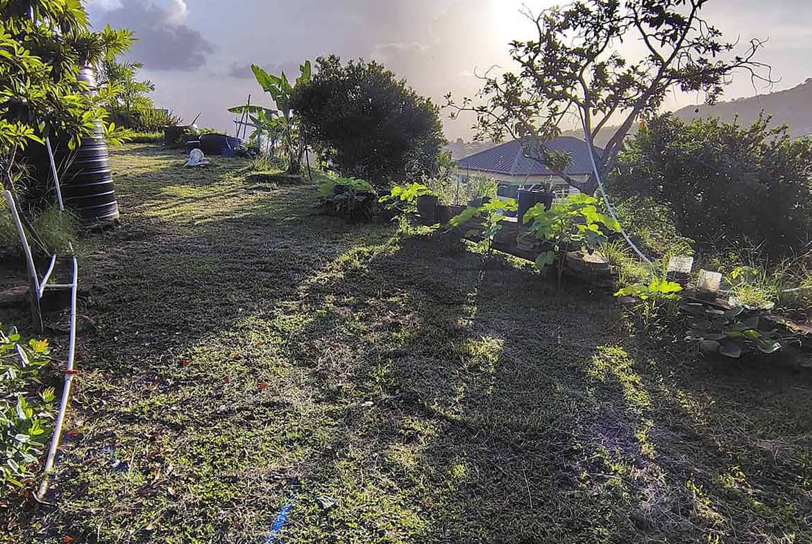 Cornerstone- Scenic hilltop land with trees, plants, and a view of the sky and distant mountains.