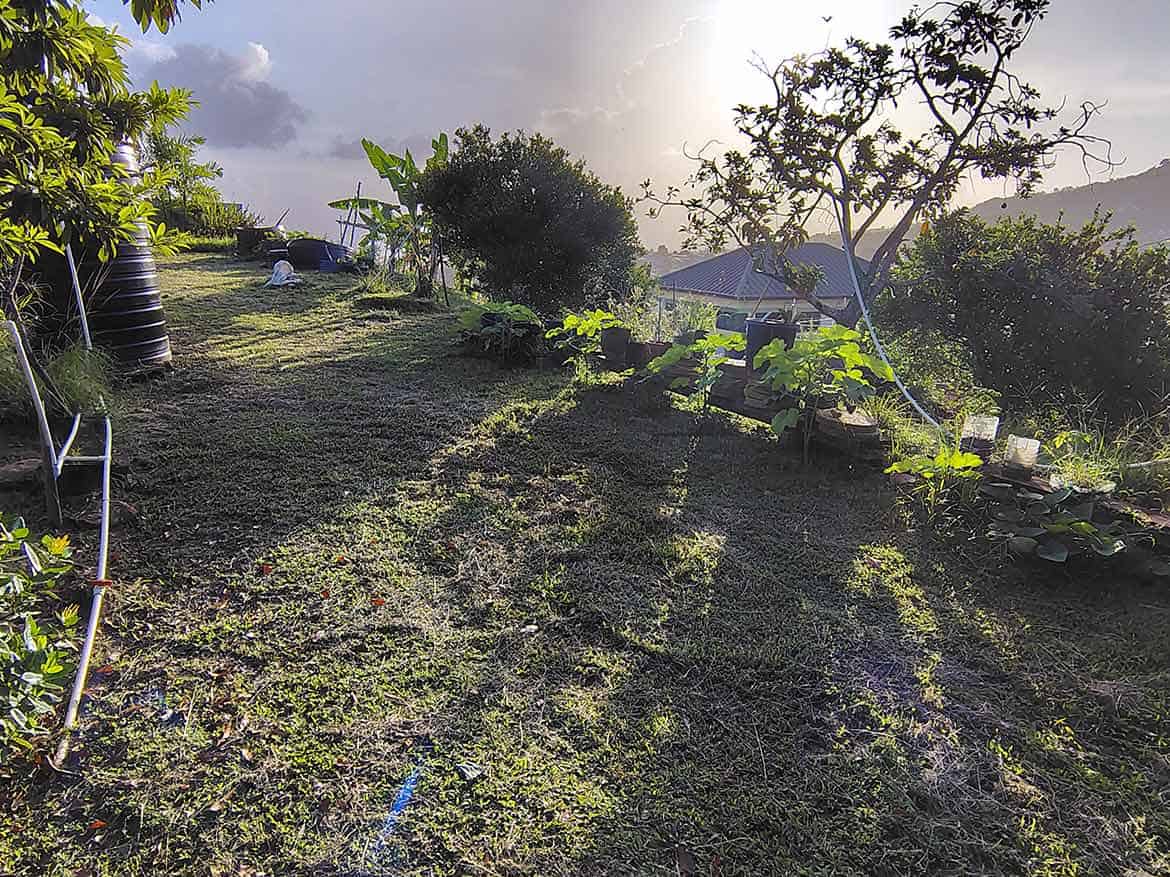 Hilltop Land with Lush Vegetation Cornerstone- Scenic hilltop land with trees, plants, and a view of the sky and distant mountains.