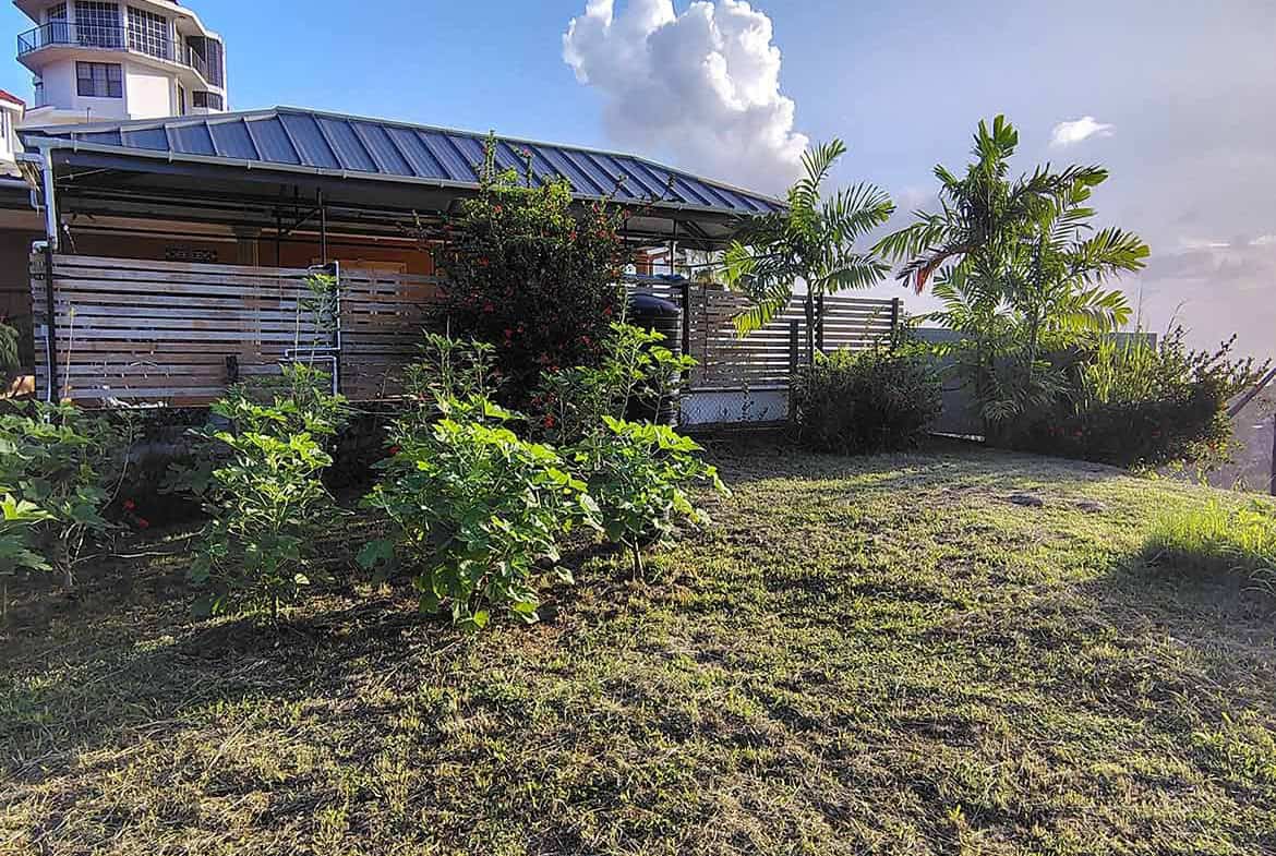 Cornerstone- Lush green vegetation on hilltop land in St Augustine with a modern building in background.