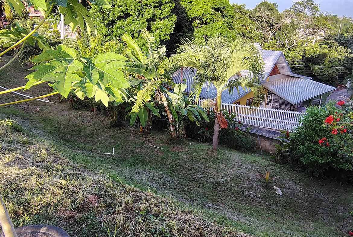 Cornerstone- Lush tropical vegetation and a house on a hilltop in St Augustine.
