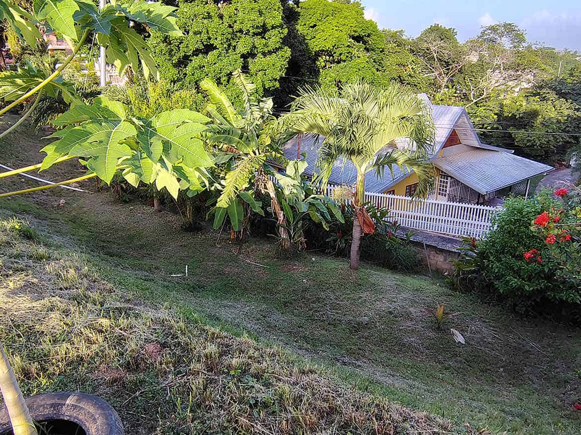 Hilltop Land with Tropical Vegetation Cornerstone- Lush tropical vegetation and a house on a hilltop in St Augustine.