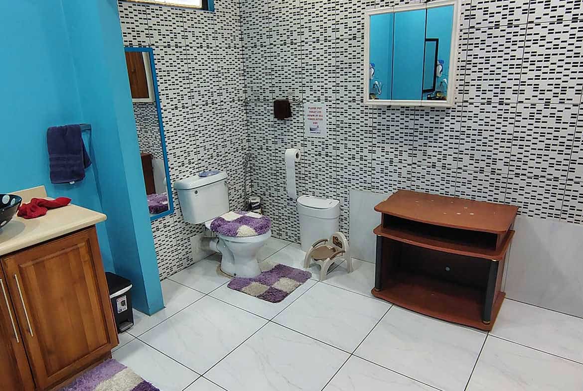 Cornerstone- Accessible bathroom with blue walls, grab bars, and a toilet with a bidet attachment.