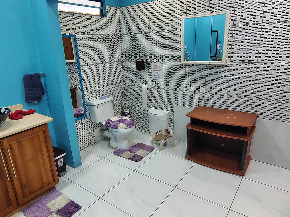 Accessible Bathroom with Blue Accents Cornerstone- Accessible bathroom with blue walls, grab bars, and a toilet with a bidet attachment.