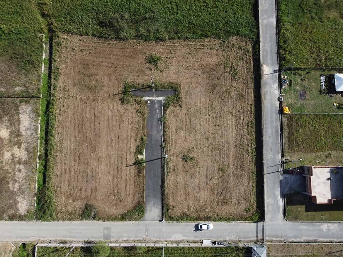 Cornerstone- Empty plot of land on St Louis Dr, Longdenville with a small tree and paved pathway.