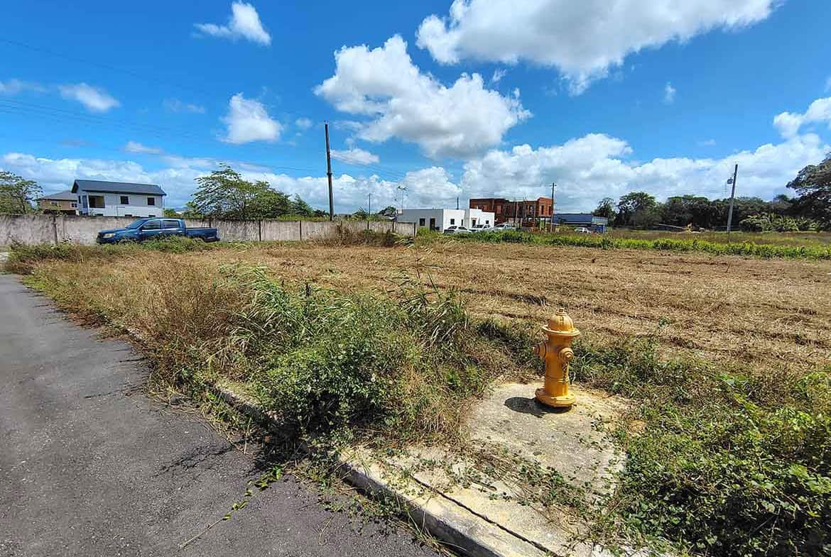 Cornerstone- Vacant land with grass and a fire hydrant on St Louis Dr, Longdenville.