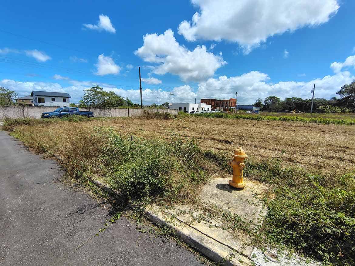 Cornerstone- Vacant land with grass and a fire hydrant on St Louis Dr, Longdenville.
