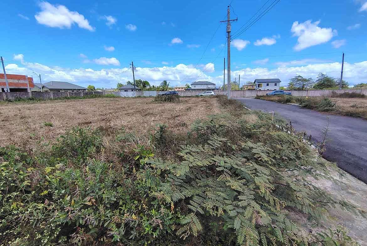 Cornerstone- Vacant land in Longdenville with power lines and nearby houses.