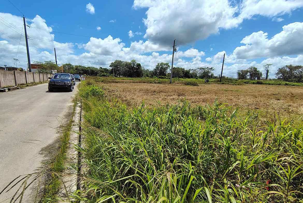 Cornerstone- Vacant land plot on St Louis Dr, Longdenville with grass and trees.