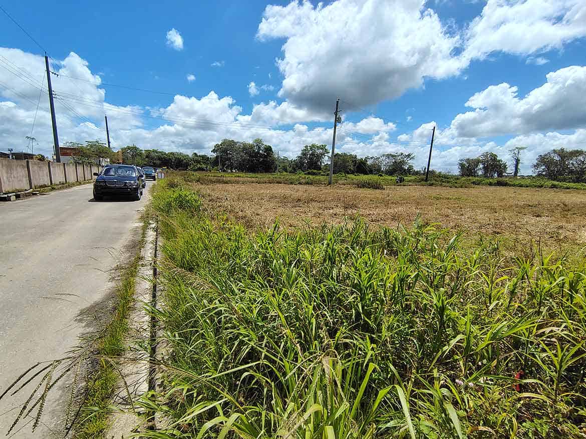 Cornerstone- Vacant land plot on St Louis Dr, Longdenville with grass and trees.
