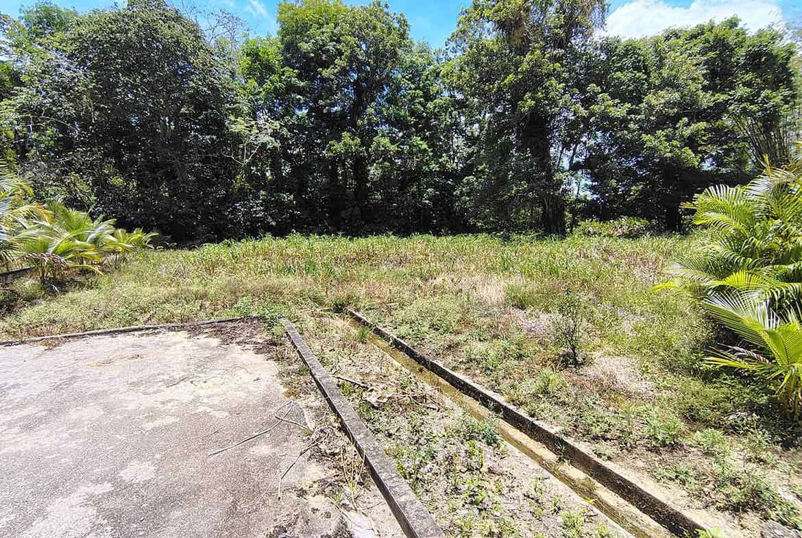 Cornerstone- Vacant land at Jabez Estates with lush trees in Sangre Chiquito.