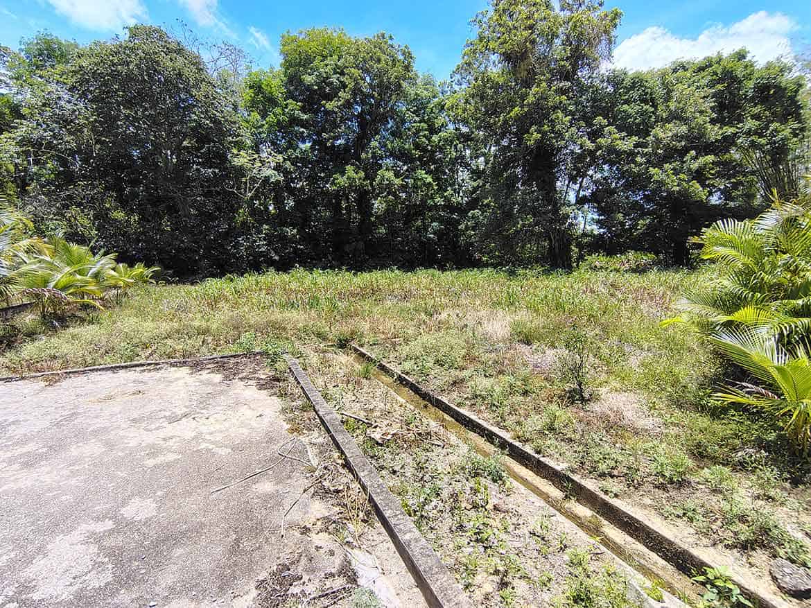 Jabez Estates, Sangre Chiquito – Green Land Cornerstone- Vacant land at Jabez Estates with lush trees in Sangre Chiquito.
