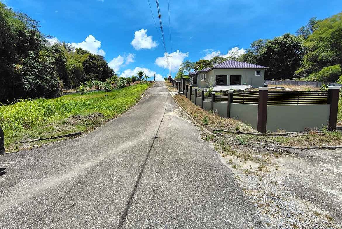 Cornerstone- Quiet residential street in Jabez Estates, Sangre Chiquito with a house and lush greenery.