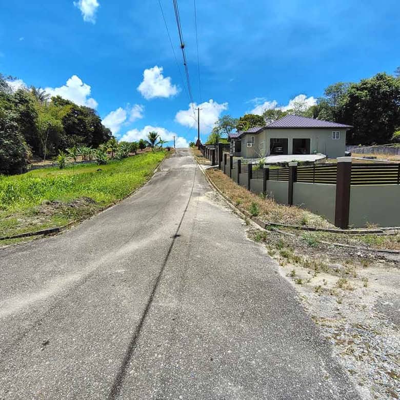Cornerstone- Quiet residential street in Jabez Estates, Sangre Chiquito with a house and lush greenery.