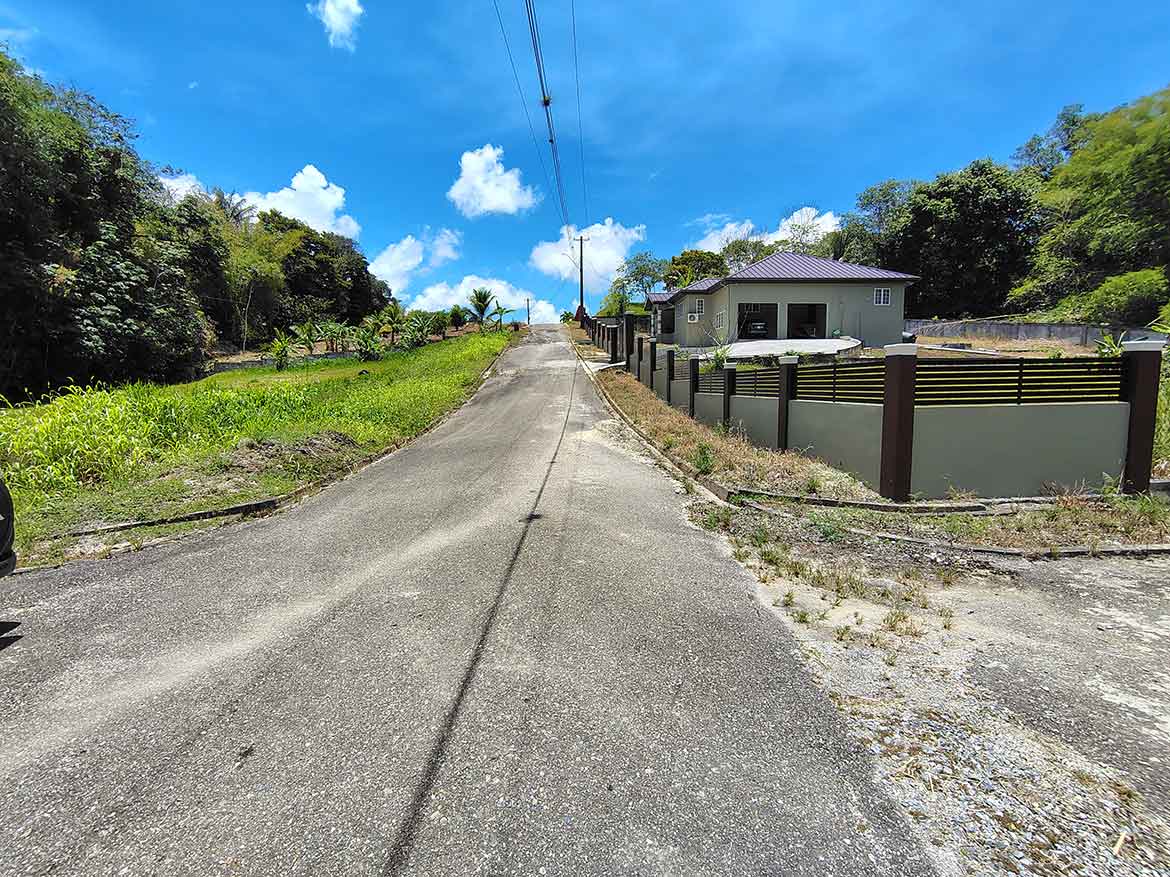 Cornerstone- Quiet residential street in Jabez Estates, Sangre Chiquito with a house and lush greenery.