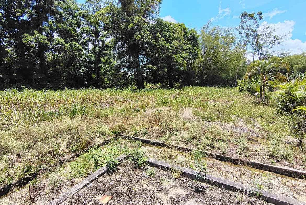 Cornerstone- Vacant land at Jabez Estates, Sangre Chiquito with trees and clear sky.