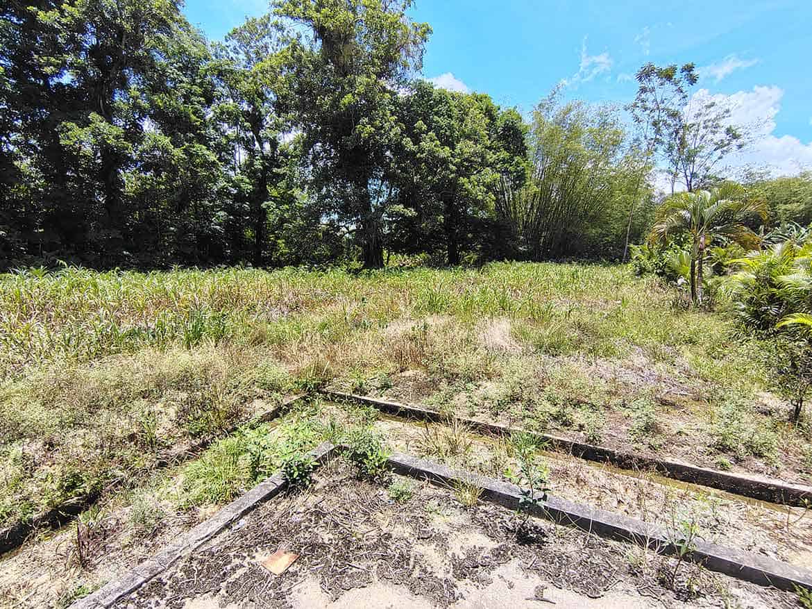 Jabez Estates Land in Sangre Chiquito Cornerstone- Vacant land at Jabez Estates, Sangre Chiquito with trees and clear sky.