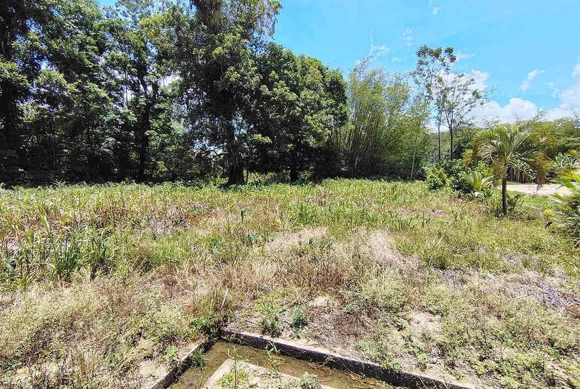 Cornerstone- Open plot of land with trees and blue sky at Jabez Estates, Sangre Chiquito.