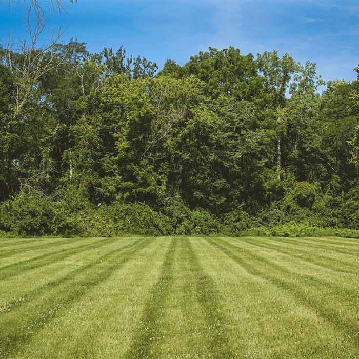 Vacant Land