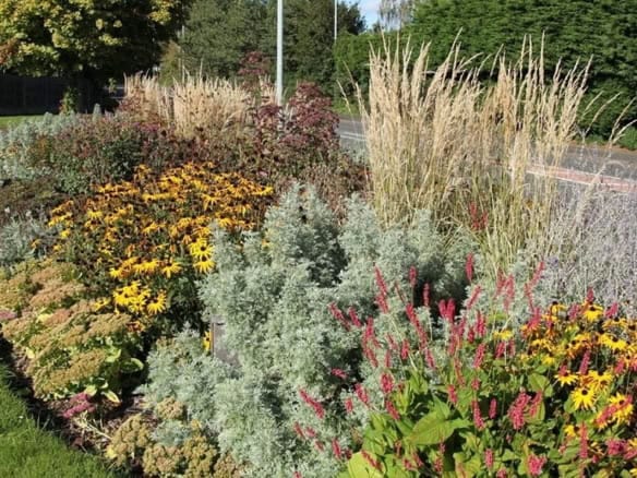 Cornerstone- Colorful flowerbed with various plants and grasses in a garden setting.