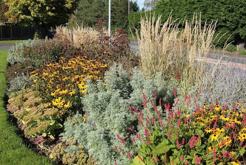 Cornerstone- Colorful flowerbed with various plants and grasses in a garden setting.