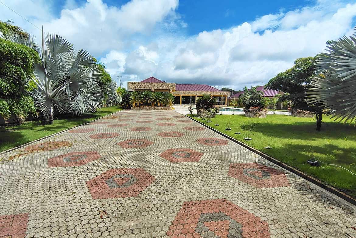 Beautiful driveway leading to Ella Vista Gardens with lush greenery and tropical plants.