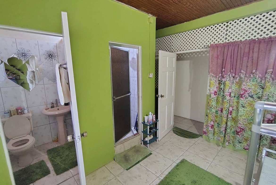 Living space with bathroom and shower area in Alexander Street property.