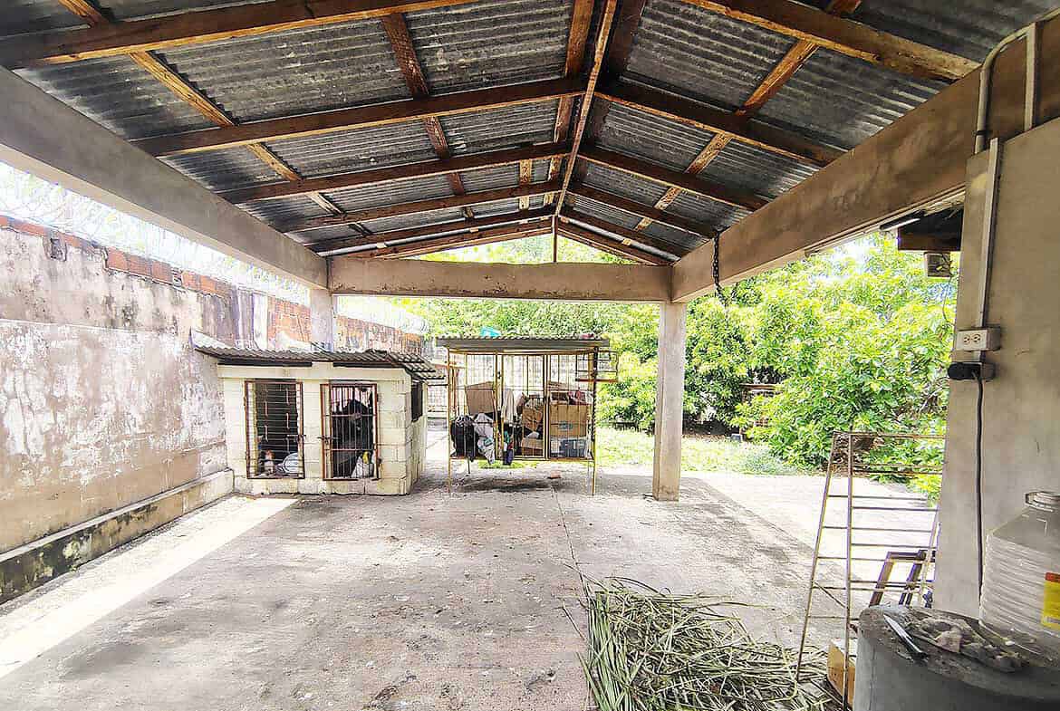 Cornerstone- Open car shelter with dogs in outdoor enclosure in Woodbrook.